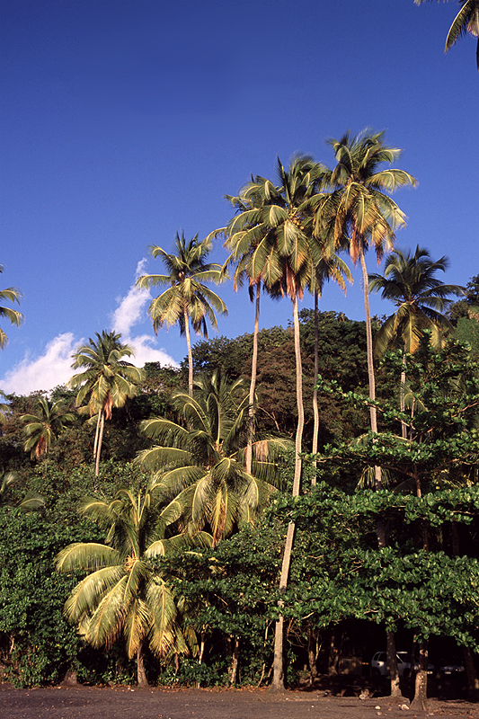 Anse Céron