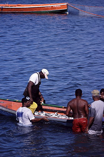 MARTINIQUE - Bellefontaine