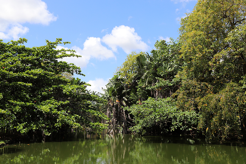 Ile Maurice