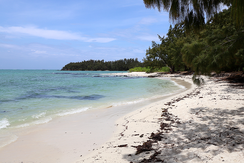 Ile aux Cerfs