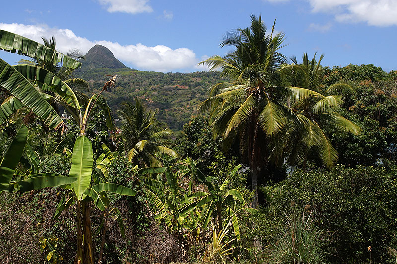 Mayotte - sud