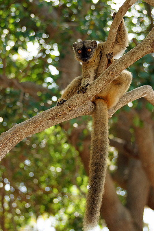 Mayotte - sud