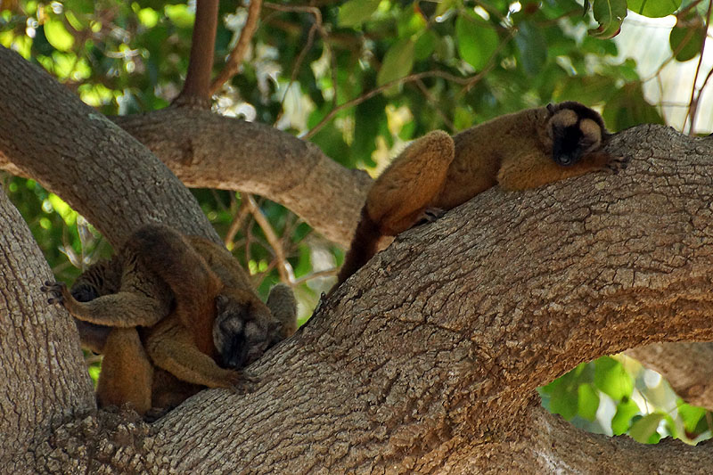 Mayotte - sud