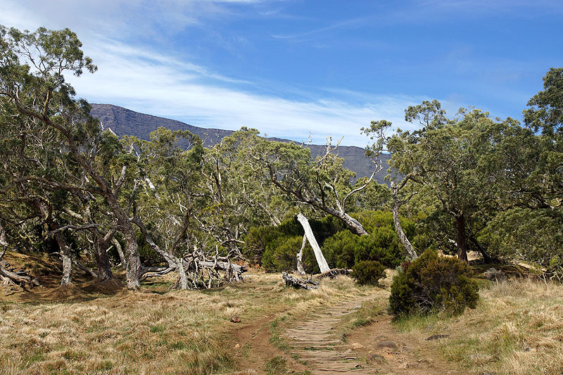 Île de la Réunion - Cirque de Mafate