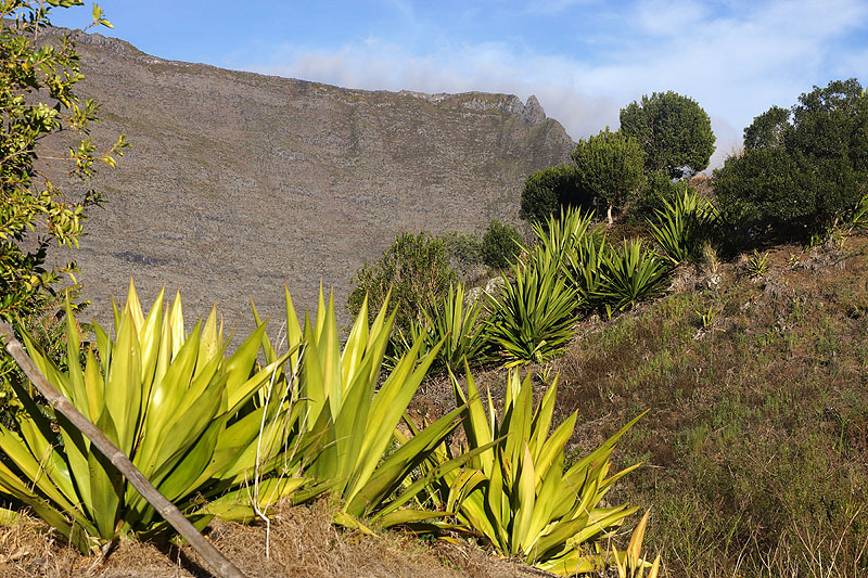 Île de la Réunion - La Nouvelle