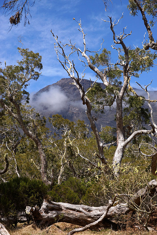 Île de la Réunion - Cirque de Mafate