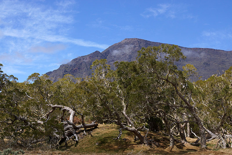 Île de la Réunion - Cirque de Mafate