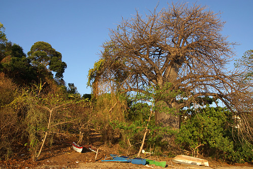 MAYOTTE & REUNION - Mayotte - Bouéni