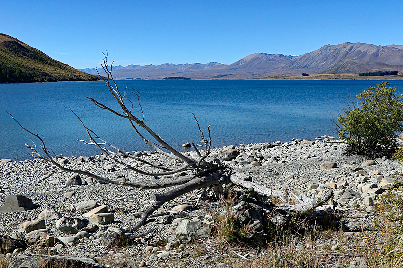 [q]Lake Tekapo[q]