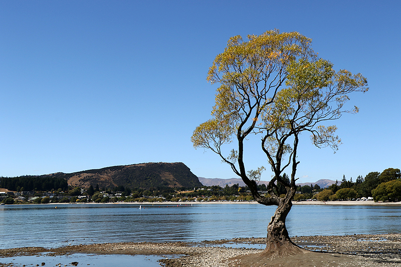 Wānaka
