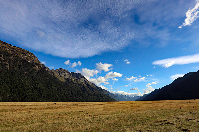 [q]Te Anau[q]
