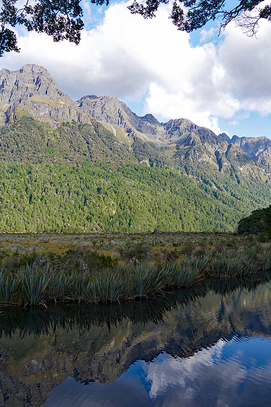 [q]Te Anau[q]