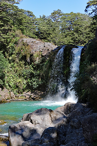 NOUVELLE-ZELANDE - [q]Tawhai Falls[q]