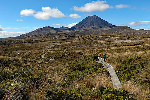 NOUVELLE-ZELANDE - [q]Tama Lakes Track[q]