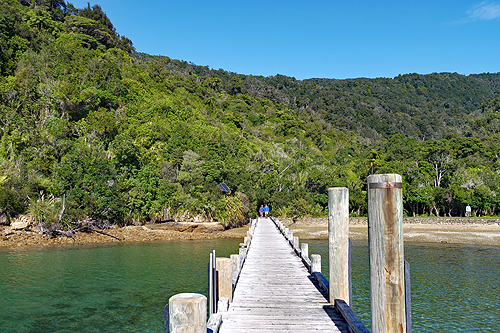 NOUVELLE-ZELANDE - [q]Queen Charlotte Sound[q]