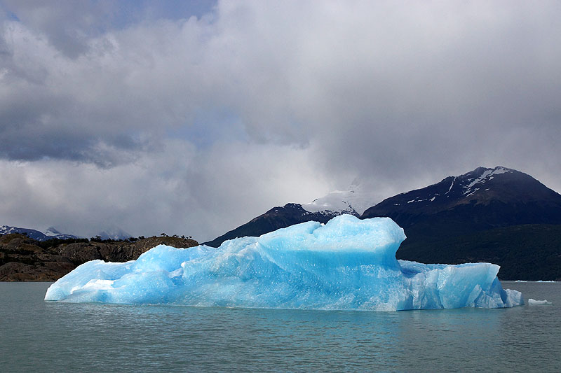 Croisière sur le [q]Lago Argentino[q]