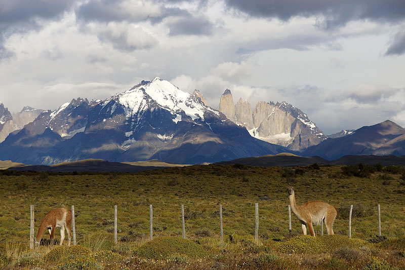 Arrivée au P.N. [q]Torres del Paine[q]