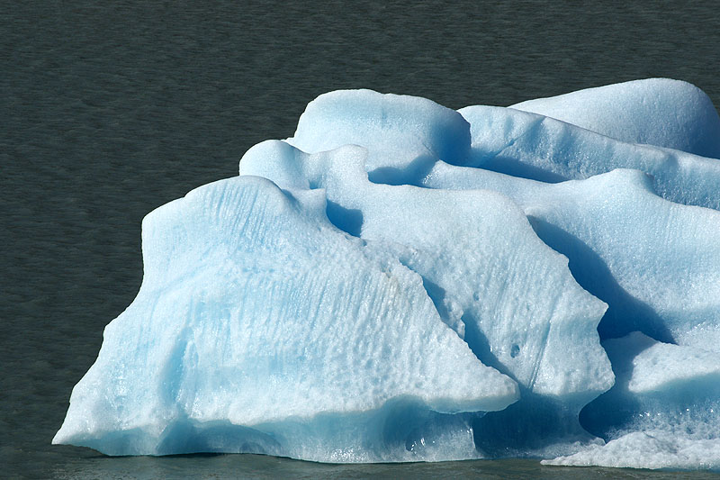 Balade sur la péninsule du lac Grey