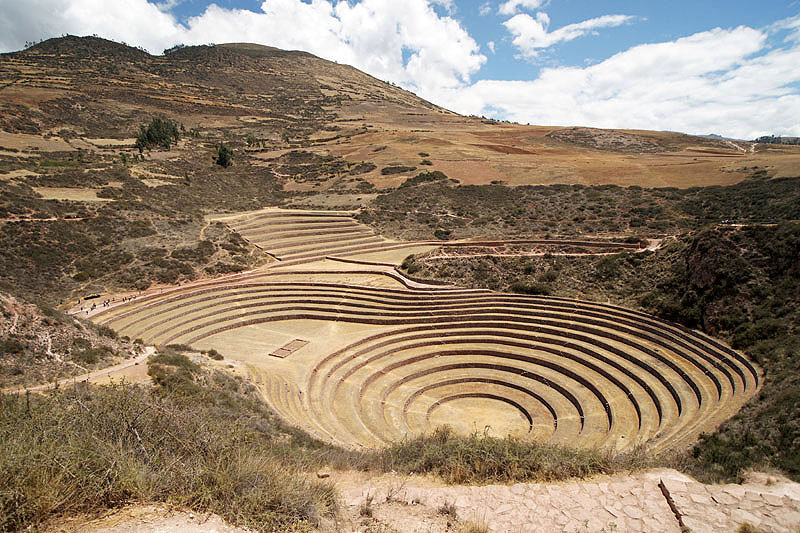 Moray