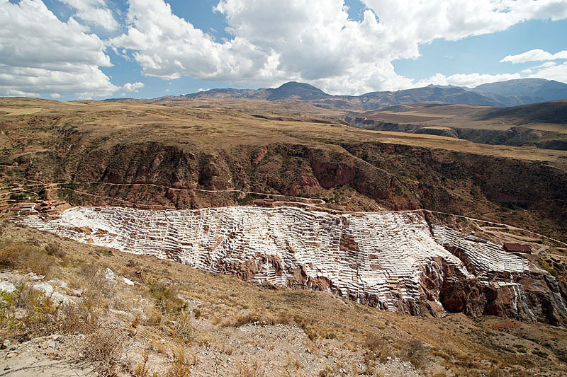 Maras