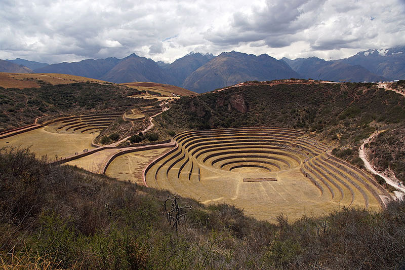 Moray