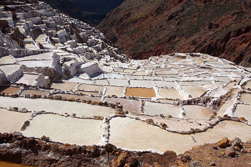 Maras