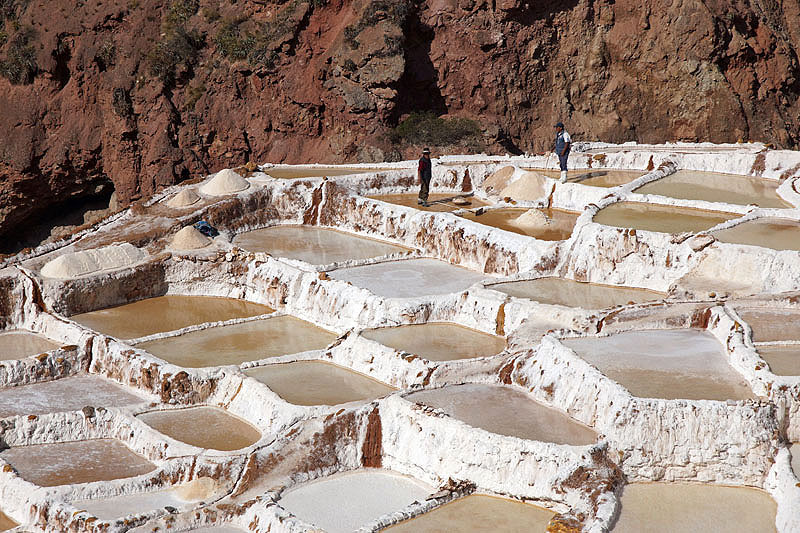 Maras
