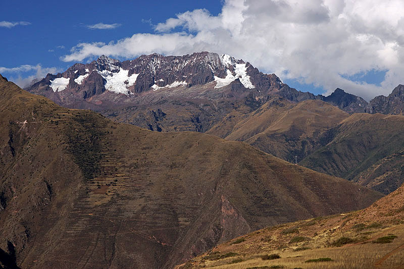 Maras