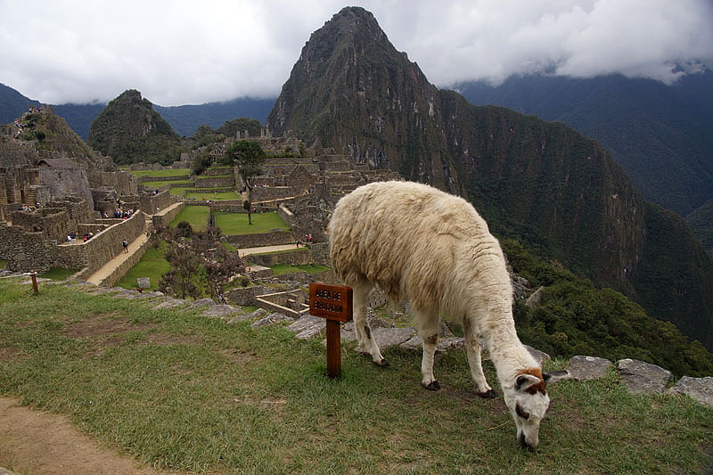 [q]Machu Picchu[q]