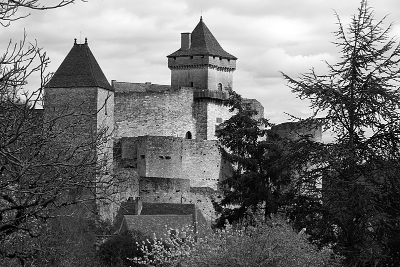 Photo château de Castelnaud