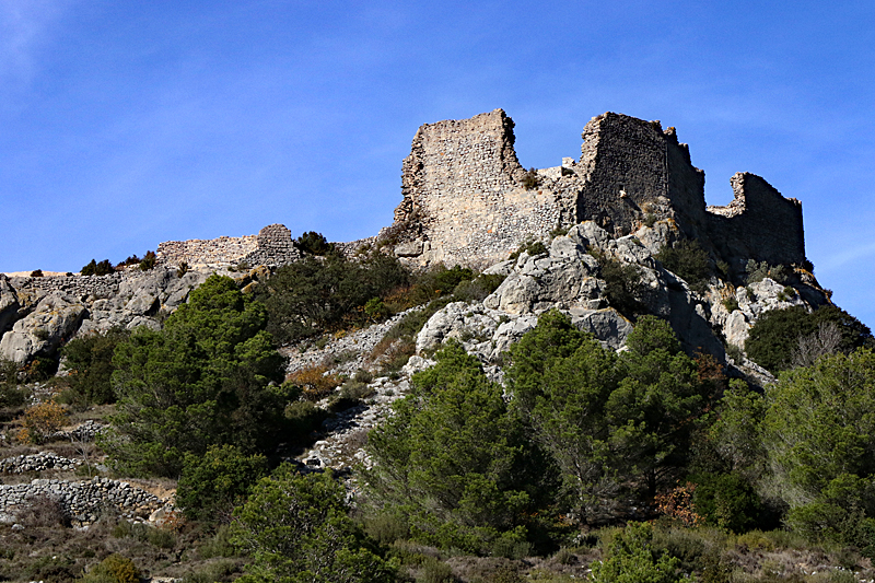 Château de Salveterra - Le château