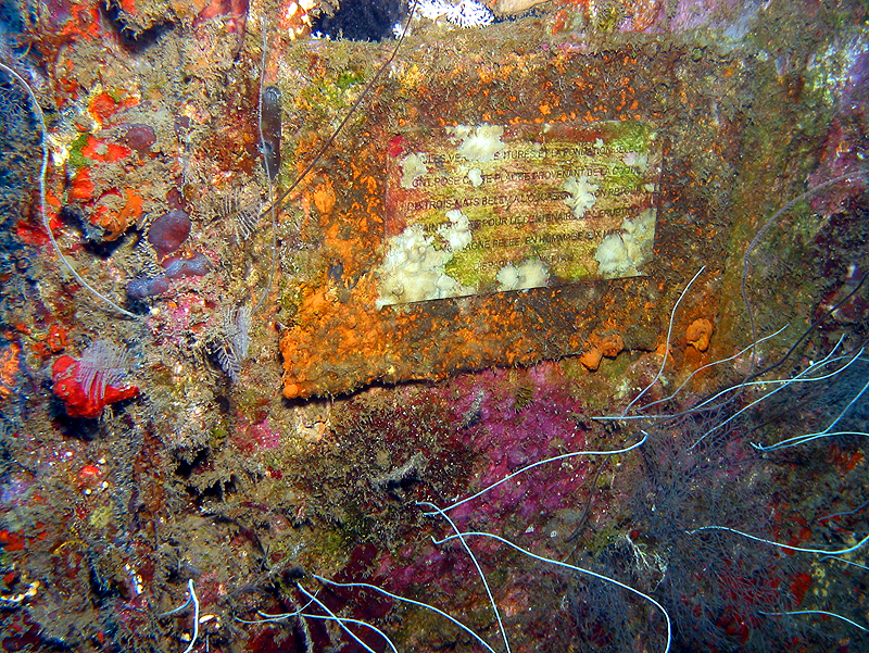 Martinique - Plaque commémorative de l éruption de 1902 sur le pont du Roraïma