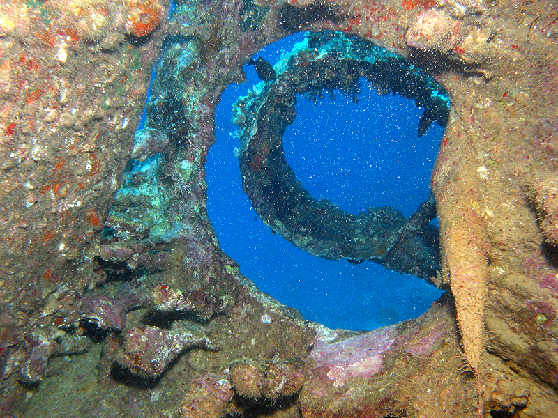 Plongée n° 5