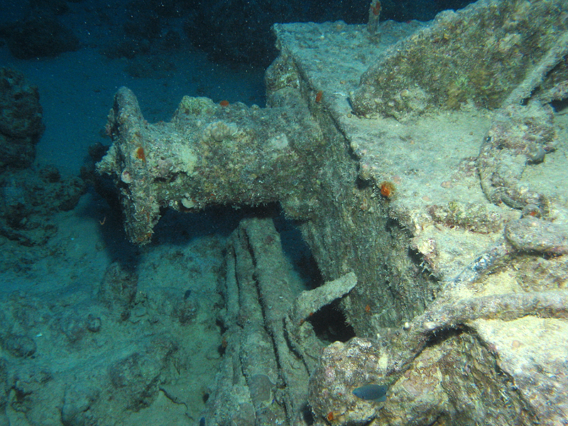 Plongée n° 7