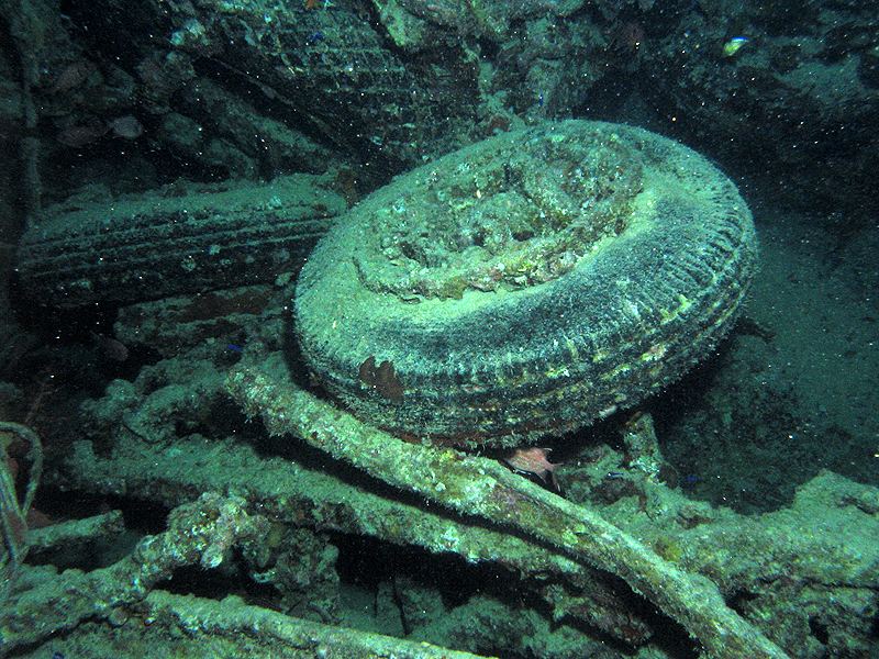 Plongée n° 7