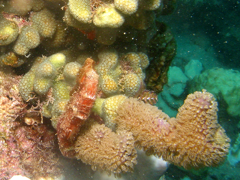 Guadeloupe - photo n° 22