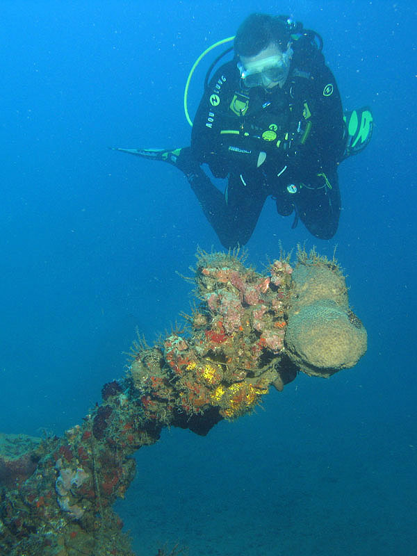 St Pierre - Epave du Biscaye (Pl. n° 7)
