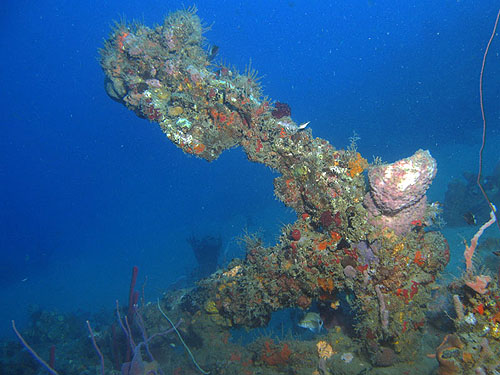 MARTINIQUE - St Pierre - Epave du Biscaye (Pl. n° 7)