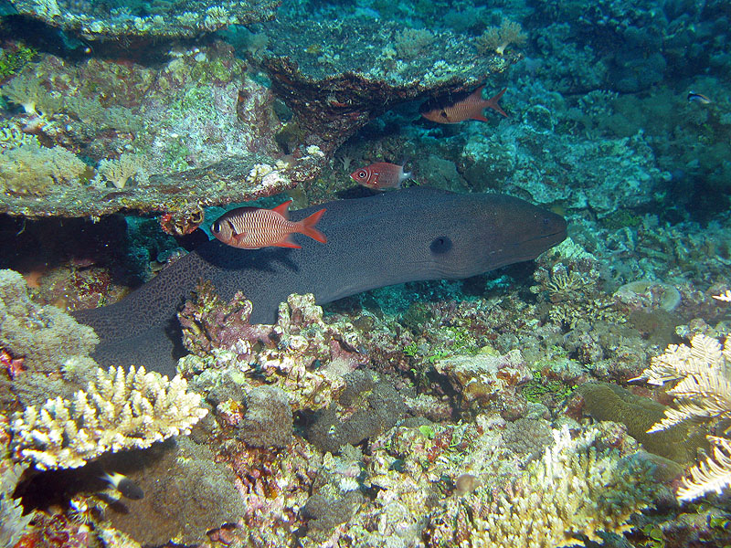 Mayotte - nord