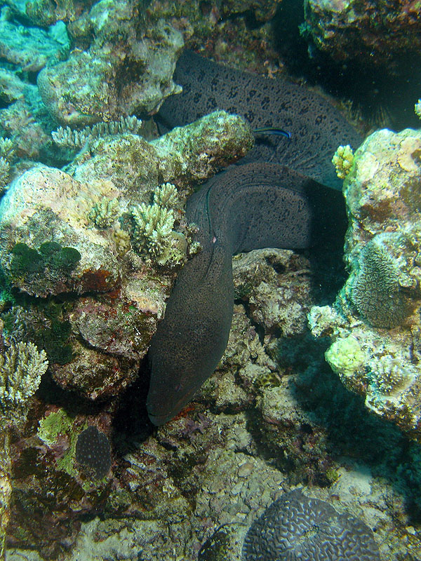 Mayotte - nord