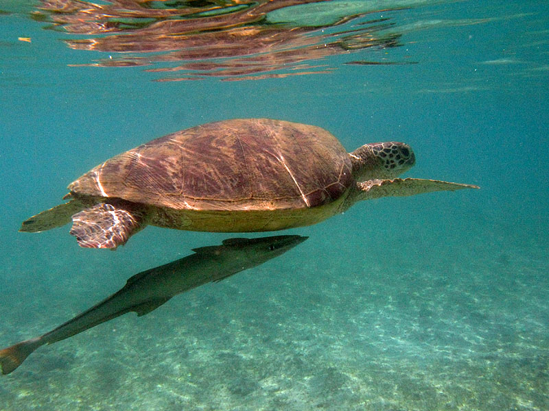 Mayotte - sud