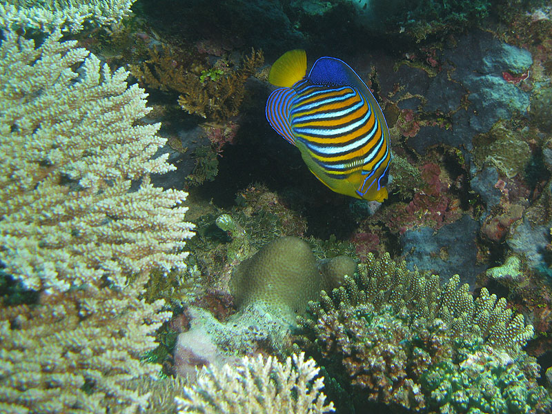 Mayotte - Bouéni