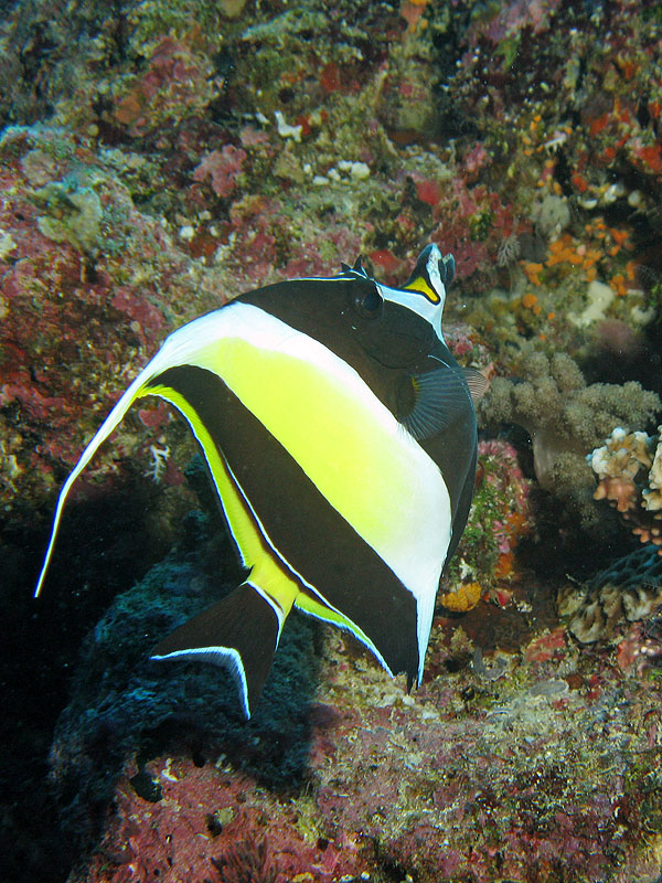 Mayotte - Bouéni