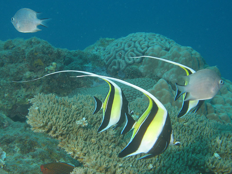 Mayotte - Bouéni