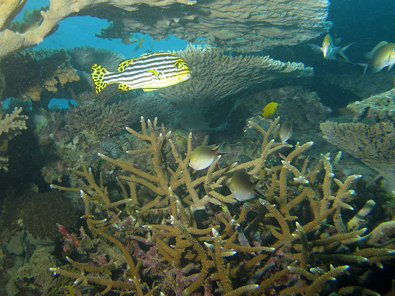 Mayotte - Bouéni