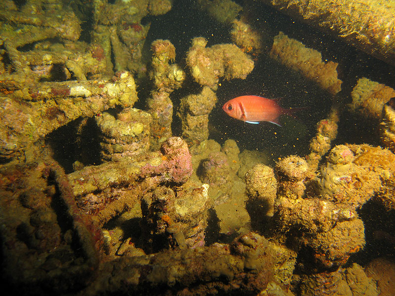 Réserve Cousteau