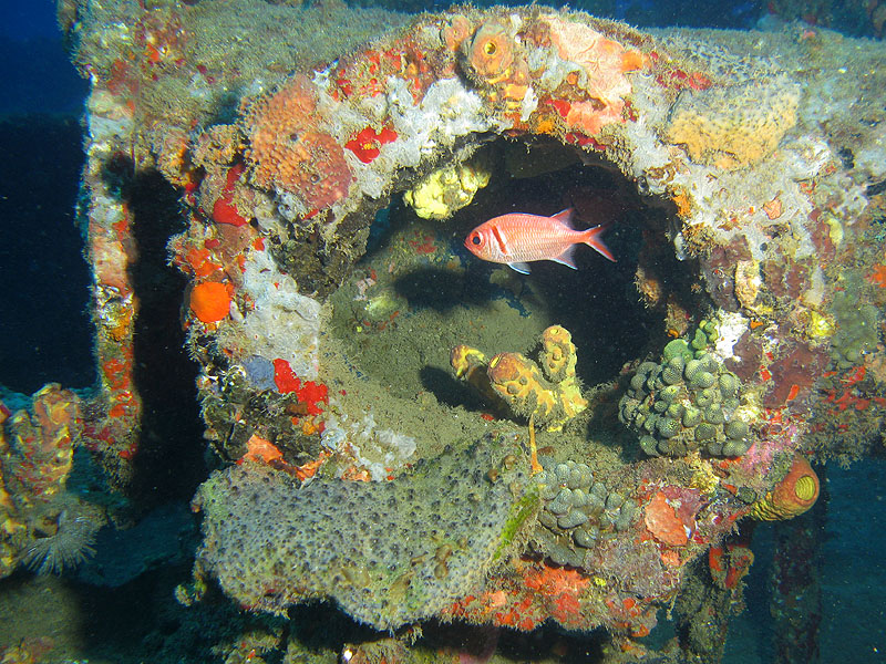 Réserve Cousteau
