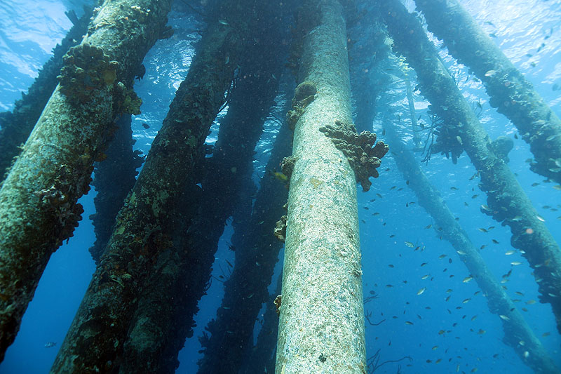 Bonaire - photo n° 187
