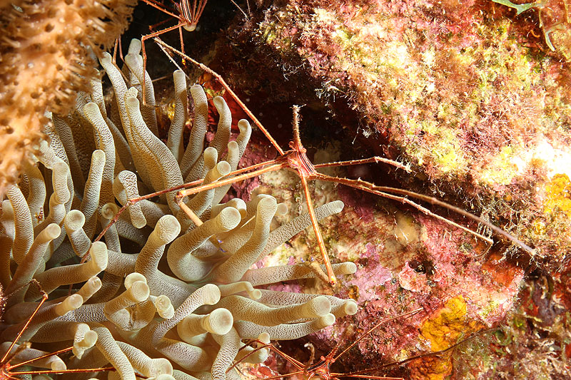 Bonaire - photo n° 92