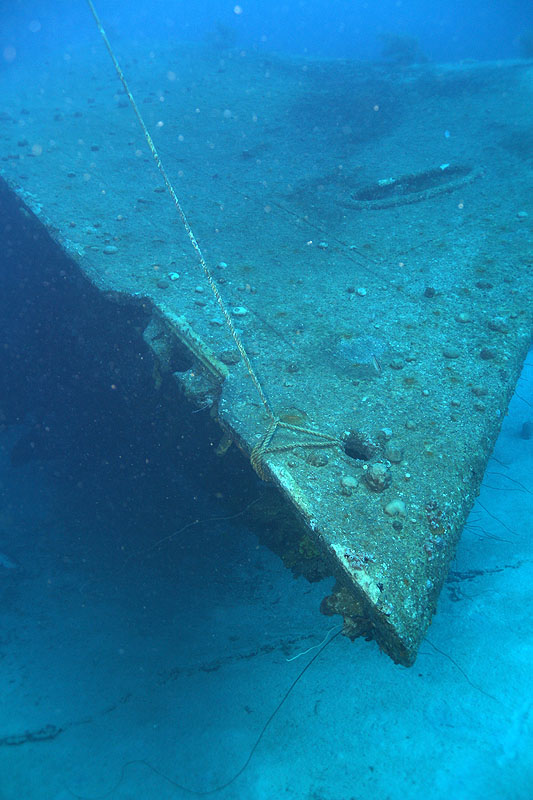 Bonaire - photo n° 125